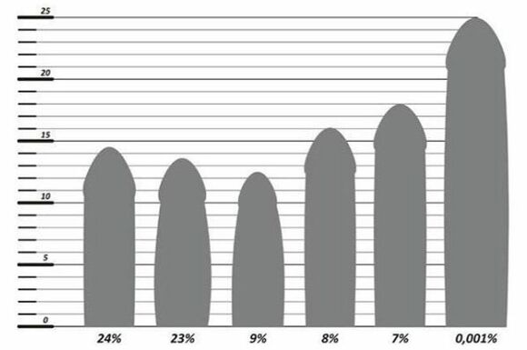 Статистика размеров пениса